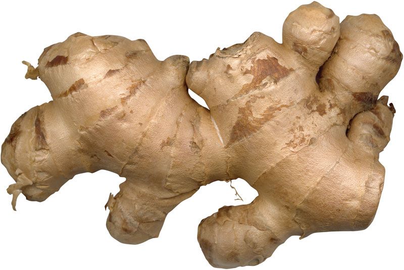Orange Ginger