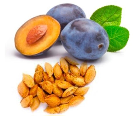 Plum Radiance Brightening Face Oil