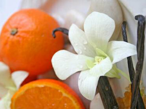 Creamsicle Lip Balm – Orange Vanilla Kiss